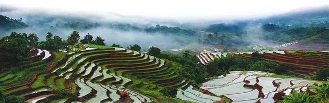 邂逅海南最美梯田-五指山牙胡梯田